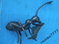 Лот: 5817209. Фото: 4. муравей.бронза.европа.25см.насекомое. Красноярск