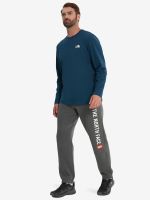 Лот: 23599818. Фото: 3. Брюки мужские The North Face Varsity... Одежда, обувь, галантерея