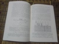 Лот: 23281007. Фото: 3. Сомервилл С. Г, Пауль М. А. «Недра... Литература, книги
