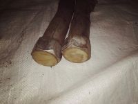 Лот: 14165765. Фото: 3. РВД Рукав высокого давления шланг... Бизнес