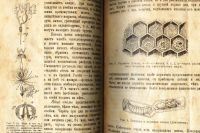 Лот: 18193485. Фото: 7. Горский П. Доходное пчеловодство...