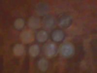 Лот: 3696766. Фото: 3. 13 монет10 рублевых !. Коллекционирование, моделизм