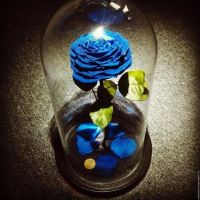 Лот: 14984918. Фото: 3. Роза в колбе. Синяя. Премиум-класс... Сувениры, подарки