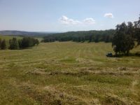 Лот: 11732814. Фото: 3. Сено (укос июнь 2018) 3 рулона... Растения и животные