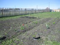 Лот: 14314439. Фото: 4. земельный участок , Камарчага. Красноярск