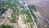 Лот: 15588995. Фото: 2. Земельный участок с деревьями... Продажа