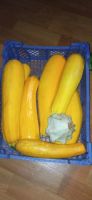 Лот: 20672693. Фото: 2. Кабачки цуккини. Продукты