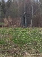 Лот: 9865771. Фото: 7. Дачный участок