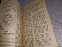 Лот: 19098705. Фото: 10. Петровский К. С., Белоусов Д...