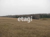 Лот: 25295130. Фото: 2. участок , село Никольское село... Продажа