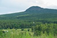 Лот: 5245512. Фото: 2. участок 10 соток ДНТ Ивушка кузнецово. Продажа