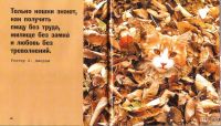 Лот: 15209879. Фото: 10. Федин Сергей (составитель) ~ Кошки...