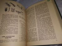 Лот: 19536382. Фото: 6. вб(4092360)Андрест Б.В.; Волкинд...