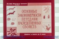 Лот: 5834407. Фото: 2. диафильм по генетике 1975 год... Антиквариат