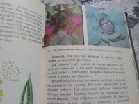 Лот: 21001228. Фото: 7. Усвайская А. Естествознание.Растения...