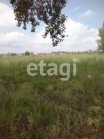 Лот: 25296182. Фото: 17. коммерческая , деревня Терентьево...