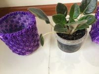 Лот: 21393863. Фото: 2. Кашпо плетеное. Комнатные растения и уход