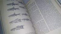 Лот: 10836493. Фото: 10. Справочник Пресноводный аквариум...