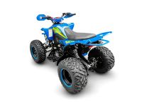 Лот: 25740259. Фото: 5. Квадроцикл RACER Typhoon 250