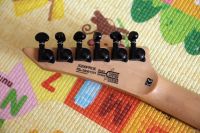 Лот: 13727075. Фото: 3. Washburn X200PROE BK 2008. Музыкальные инструменты и оборудование
