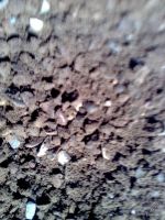 Лот: 5378274. Фото: 2. ПЩС (песчано-щебниевая смесь... Строительные материалы