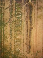 Лот: 24958655. Фото: 3. Черепица. Коллекционирование, моделизм