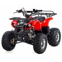 Лот: 25659110. Фото: 8. Квадроцикл RAPTOR Max Pro 150