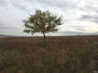 Лот: 13023688. Фото: 6. Участок под ИЖС поселок Берёзовка...