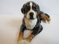 Лот: 17174459. Фото: 7. бернская овчарка зенненхунд собака...