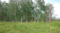 Лот: 9948982. Фото: 5. Участок 16.4 сот. (ИЖС), мкр...