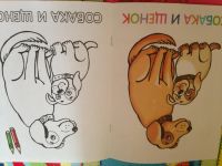 Лот: 9219465. Фото: 5. раскраска 6