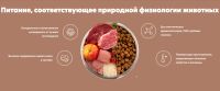 Лот: 19208767. Фото: 3. АльфаПет (AlphaPet) SuperPremium... Растения и животные