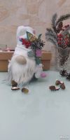 Лот: 18338746. Фото: 3. Гном скандинавский. Красноярск
