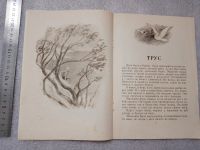 Лот: 20852088. Фото: 7. Пантелеев Л. Две лягушки. Рассказы...