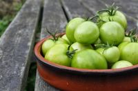 Лот: 17971893. Фото: 2. Продам зелёные помидоры со своего... Продукты