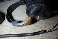 Лот: 16186978. Фото: 2. металлодетектор CTX 3030 - Возможен... Туризм, охота, рыбалка, самооборона