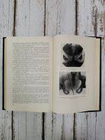 Лот: 24792114. Фото: 6. Жмакин К.Н., Сыроватко Ф.А. Акушерский...