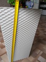 Лот: 13371010. Фото: 5. Растение взрослое Кофейное дерево...