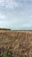 Лот: 25299431. Фото: 9. участок , село Потапово село Потапово...