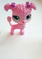 Лот: 7441976. Фото: 5. Littlest Pet Shop Петшоп 3600