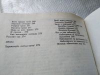 Лот: 18192209. Фото: 8. Стрижев А.Н., Календарь русской...