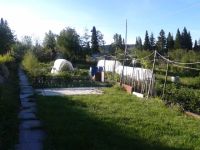 Лот: 7193507. Фото: 2. Срочно продам дачу на ст. Минино... Продажа