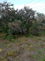 Лот: 12084065. Фото: 5. Продам участок Солнечный конечка