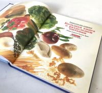 Лот: 13954372. Фото: 2. Урсула Зумм, Раздельное питание... Дом, сад, досуг