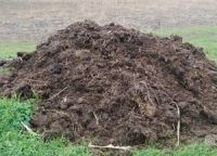 Лот: 13560314. Фото: 2. Навоз 4м3 с доставкой. Для дачи, дома, огорода, бани, парка