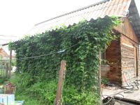 Лот: 14952376. Фото: 2. Продам дом в Зыково. Продажа