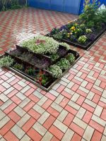 Лот: 25600819. Фото: 14. 2-комн. дача , садоводческое некоммерческое...