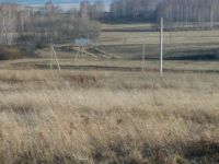 Лот: 9451017. Фото: 4. Участок в Шуваево. Обмен. Красноярск
