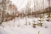 Лот: 25294808. Фото: 2. участок , ДНТ Чёрная Сопка ДНТ... Продажа