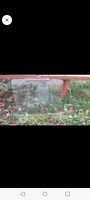 Лот: 24610493. Фото: 2. Стекла 2шт. Автозапчасти